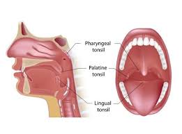 Adenoids Treatment in nashik